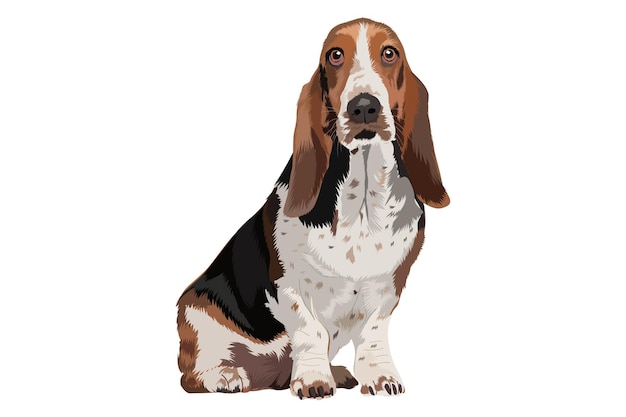 Vettore ritratto solista di basset hound