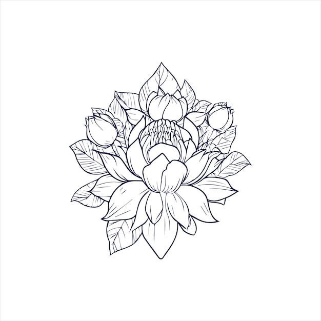 bastard teak flower line art with hand drawn