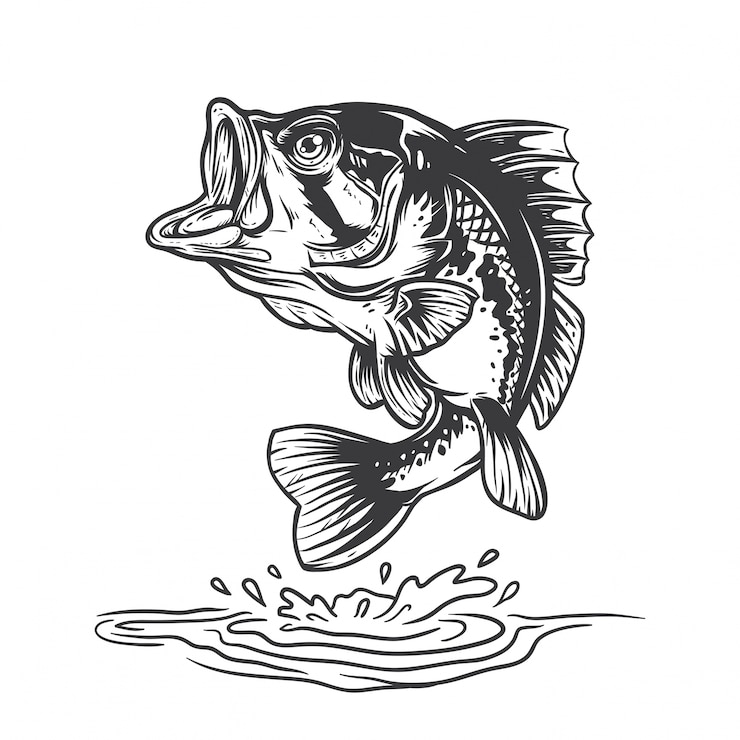 Vector basvissen