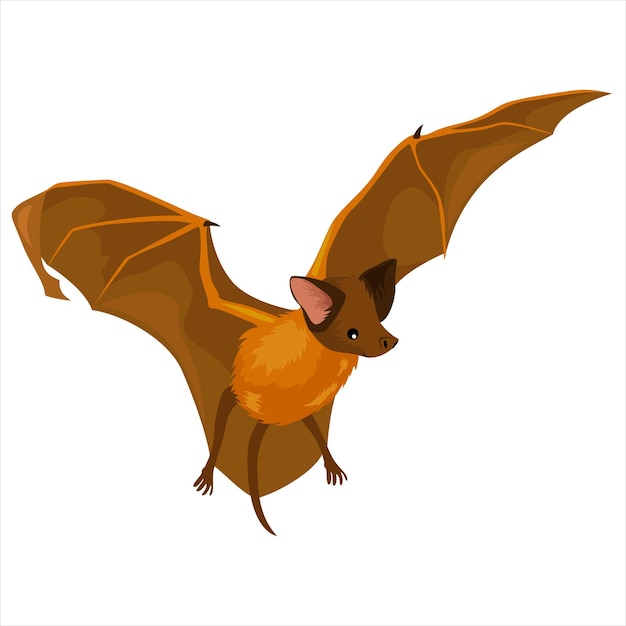 Vector bat colorful vector