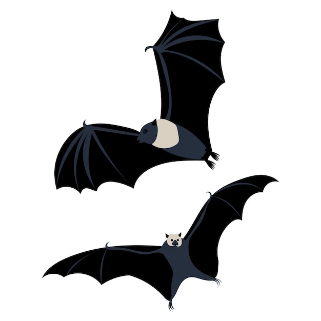Bat flat design on white background vector