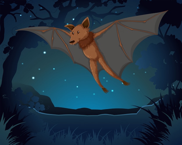 Bat flying in the dark