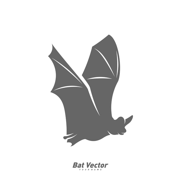 Vector bat logo vector template silhouette of bat design illustration