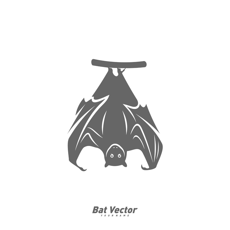 Vector bat logo vector template silhouette of bat design illustration