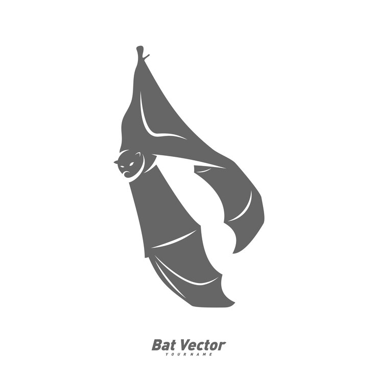 Vector bat logo vector template silhouette of bat design illustration