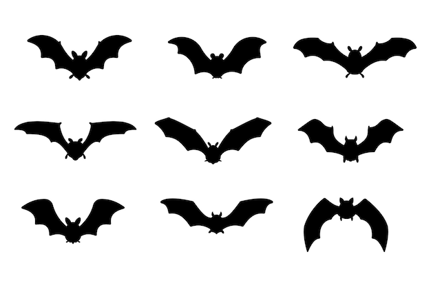 Bat vampire. scary ghost bat silhouette Flying out to suck blood on Halloween.