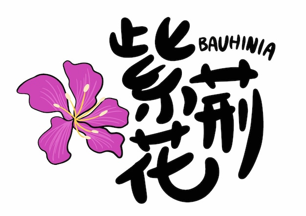 Vector bauhinia handbeschilderde illustratie chinese vertaling bauhinia