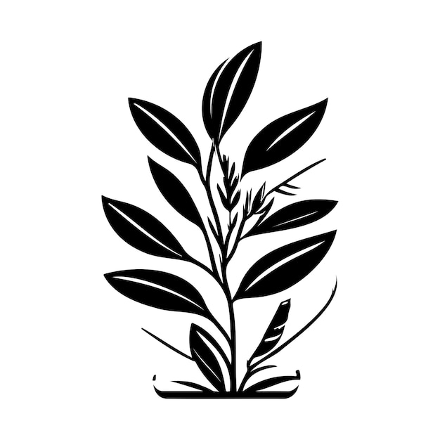 Vector bay icon hand draw black colour plant leaf logo symbol perfect