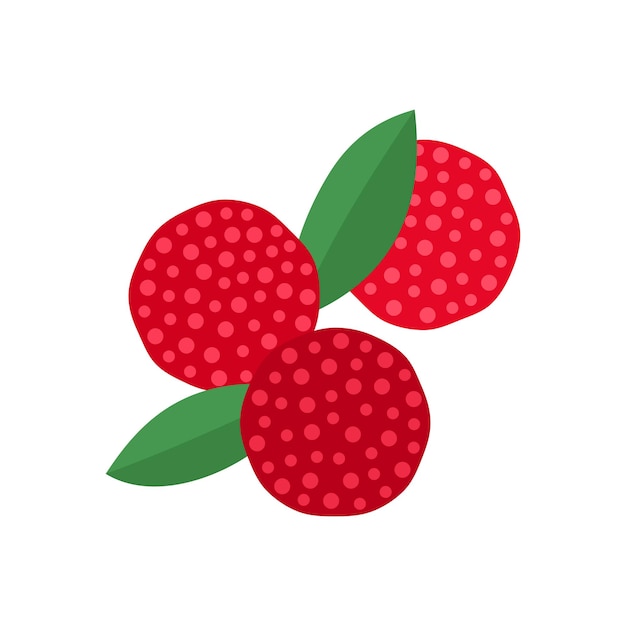 Vector bayberry flat style vector illustration fresh berries on white background