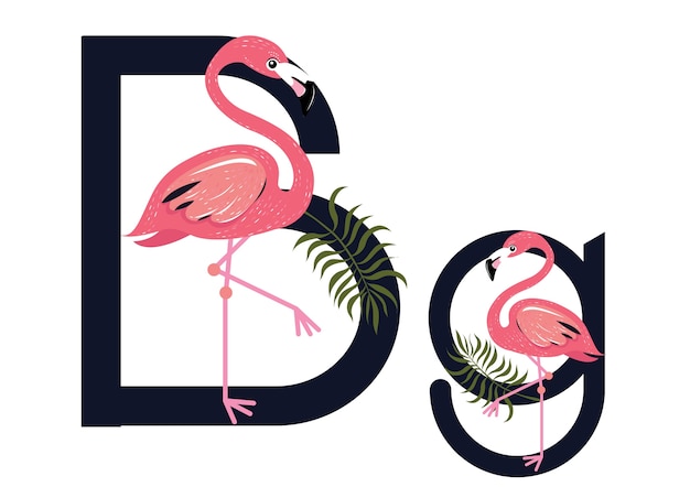 Bb flamingos