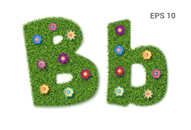 草のテクスチャとアルファベットのBb小文字と大文字花とムーアの芝生