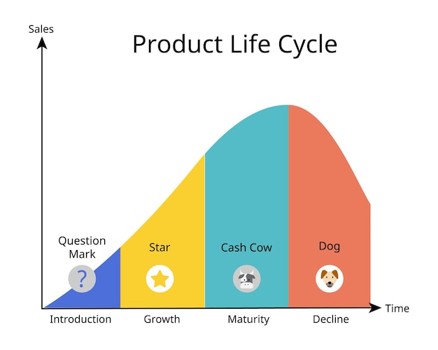 The BCG growth share matrix contains four distinct categories dog cash cow star and question mark