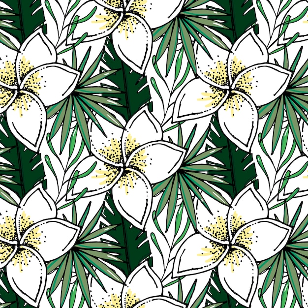 Beach cheerful pattern wallpaper of tropical dark green leaves 