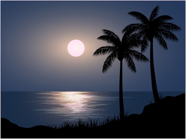 Vector beach night scenery