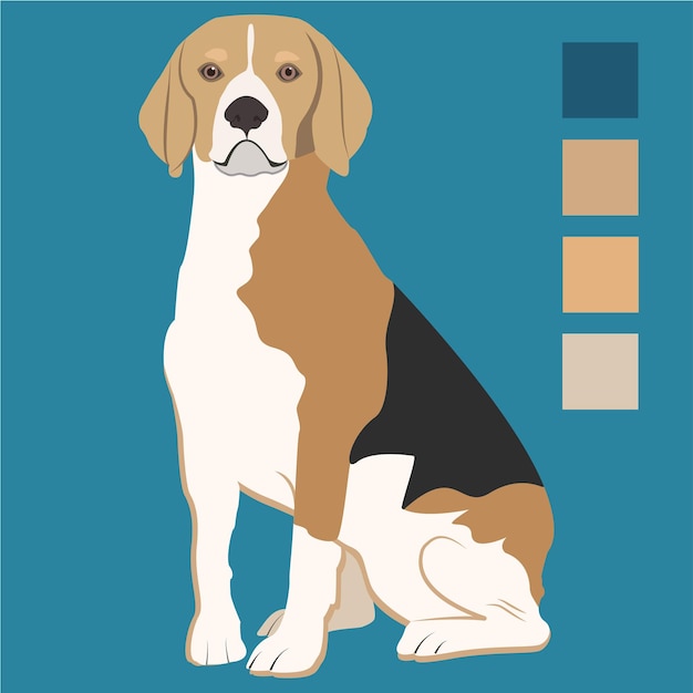 Vector beagle breed