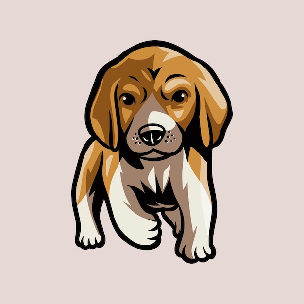 beagle dog