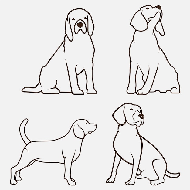 beagle dogs vector