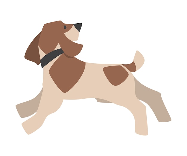 Beagle hond ras met bruine markering en kraag op de nek Running Vector illustratie