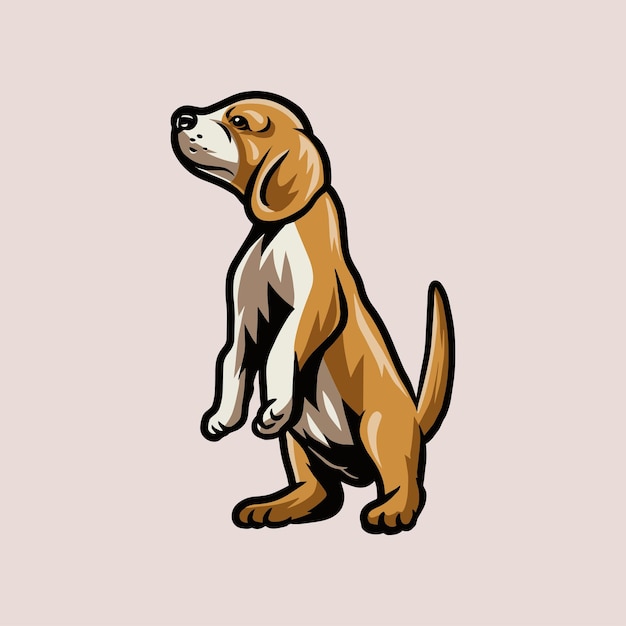 Beagle hond