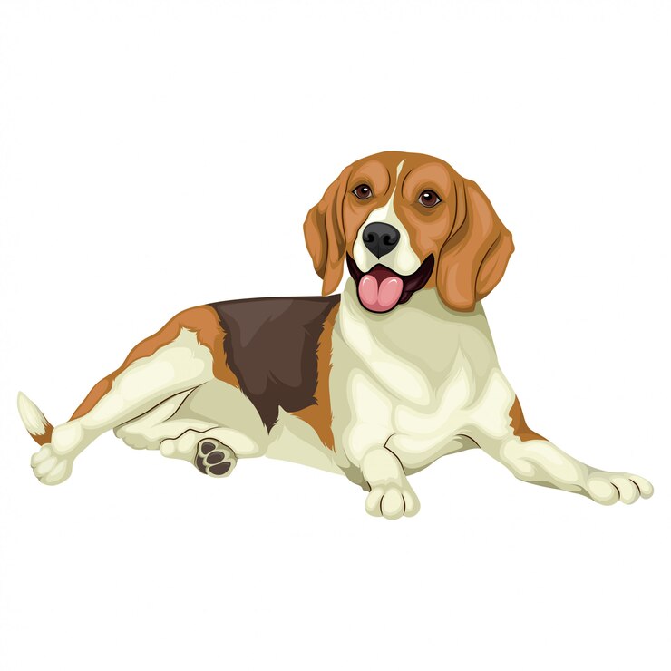 Vector beagle illustratie