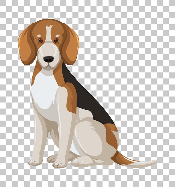 Vector beagle in sitting position cartoon character isolated on transparent background