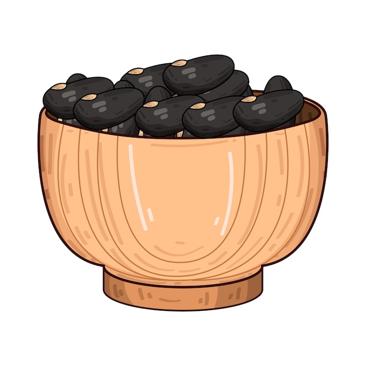 Vector bean illustration