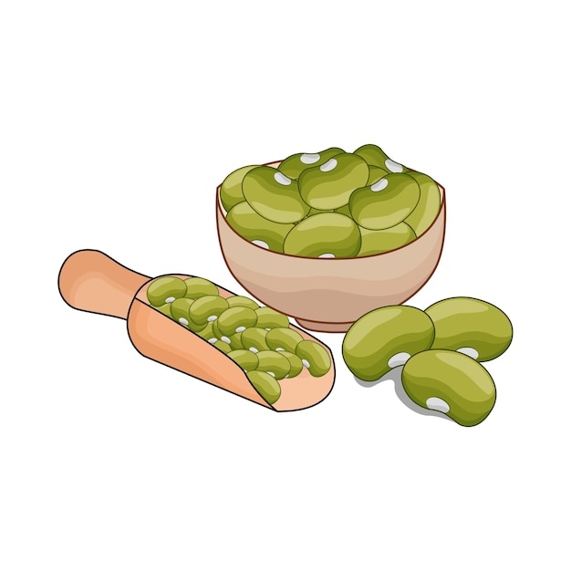 Vector bean illustration