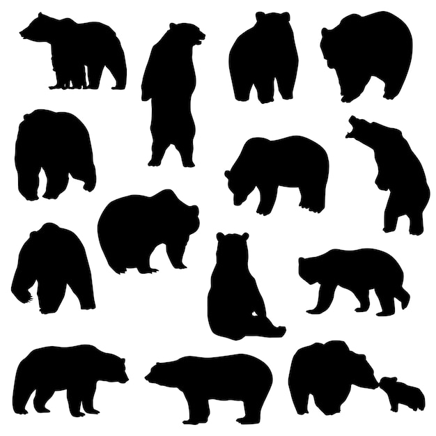 Vector bear animal mountain silhouette vector