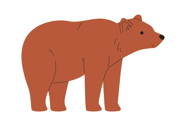 Vector bear animal standing