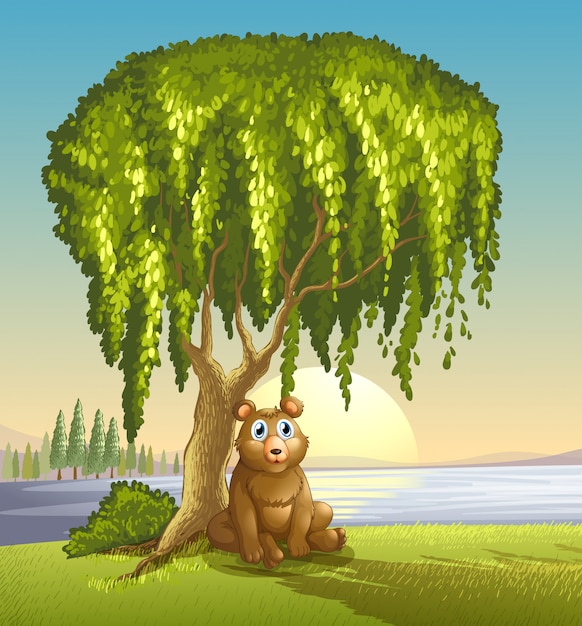 Un orso sotto un grande albero