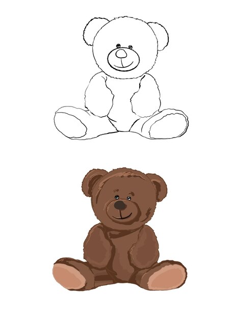 Vector bear coloring book
