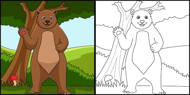 Bear coloring page colored illustration