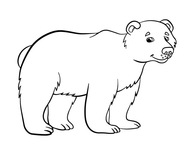 bear coloring page for kids 019