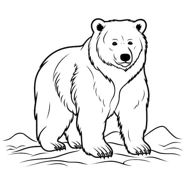 Vector bear coloring page for kids