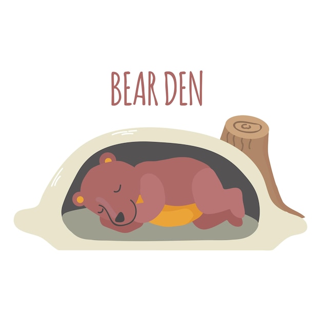 Иллюстрация изолированного вектора с иконой медведя
