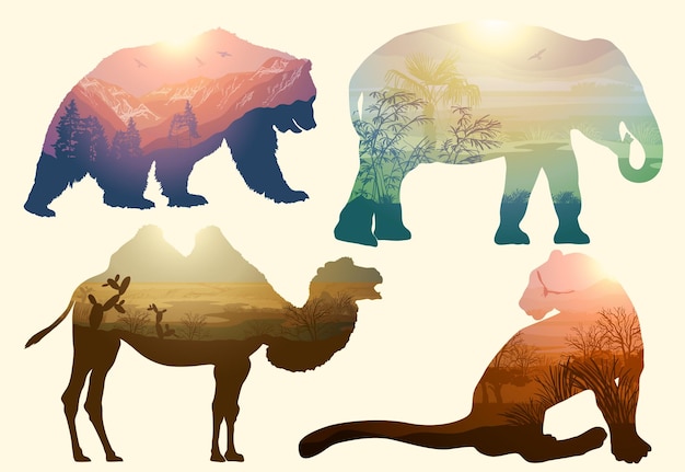 Bear elephant camel and Leopard for your design wildlife concept