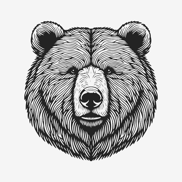 Vettore faccia di orso animal line art illustrazione vettorio nero