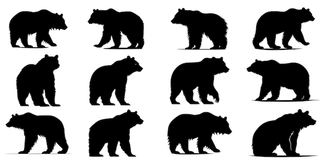 Bear icons set Bear silhouettes Black symbols of bear Vector illustration