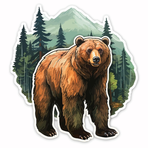 bear illustration