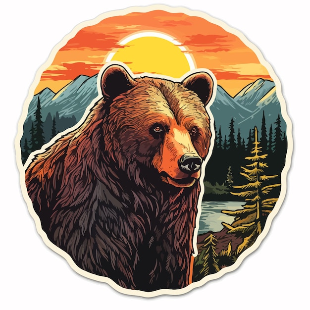 bear illustration