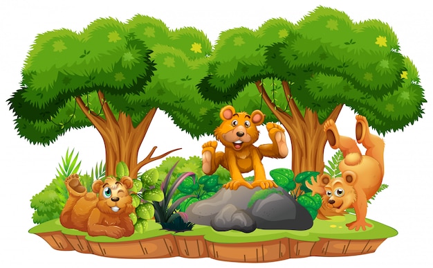 Bear on isolated jungle island