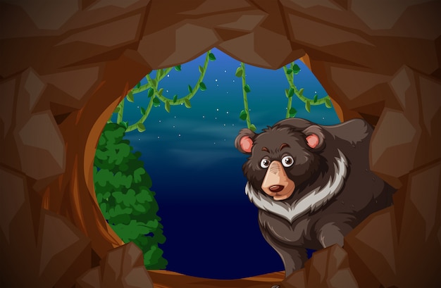 Vector a bear living in cave