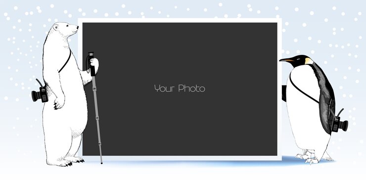 Vector bear and penguin with a black blank photo frame