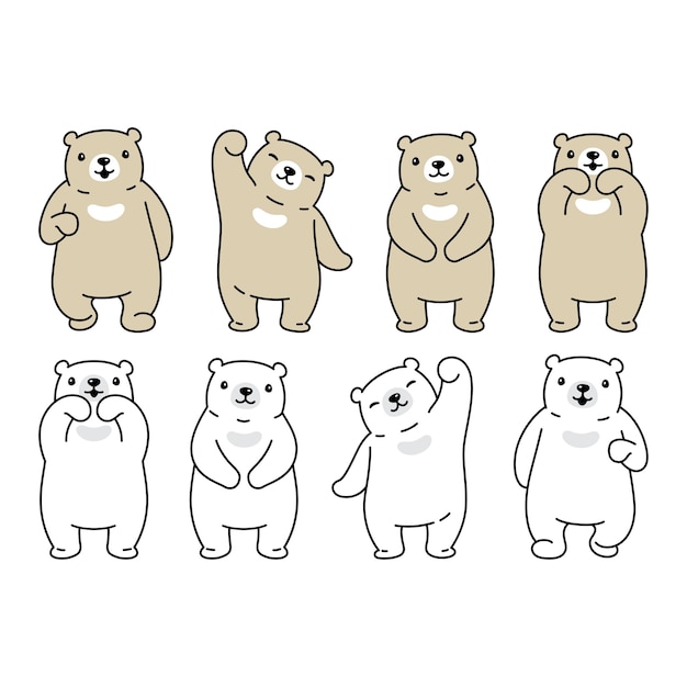 bear polar character cartoon teddy illustration