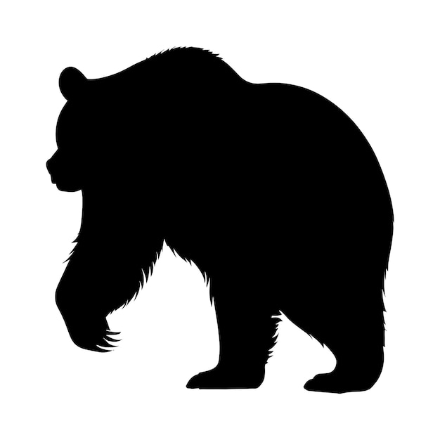 Vector bear silhouette on white