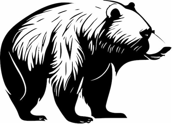 Bear Vector Illustration