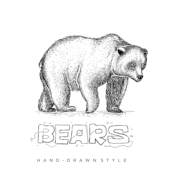 Bear with style in hand drawing, animal illustration looks realistic, black and white abstract