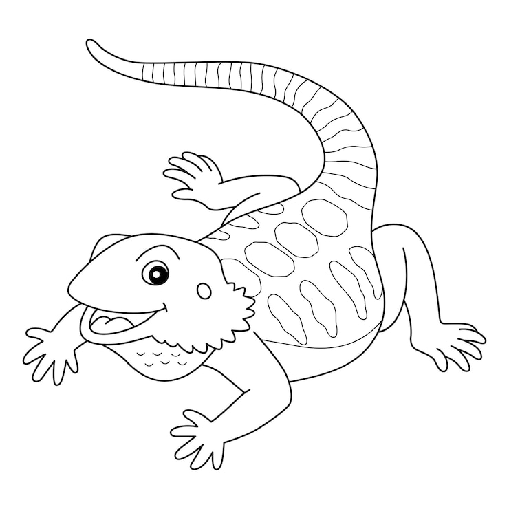 ひげを生やしたドラゴン動物分離ぬりえページ