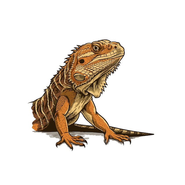 Bearded dragon vintage vector illustration