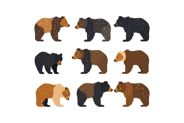 Bears with Distinct Fur Patterns Vector illustration design